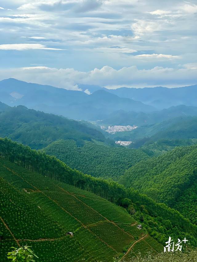 巴戟山。